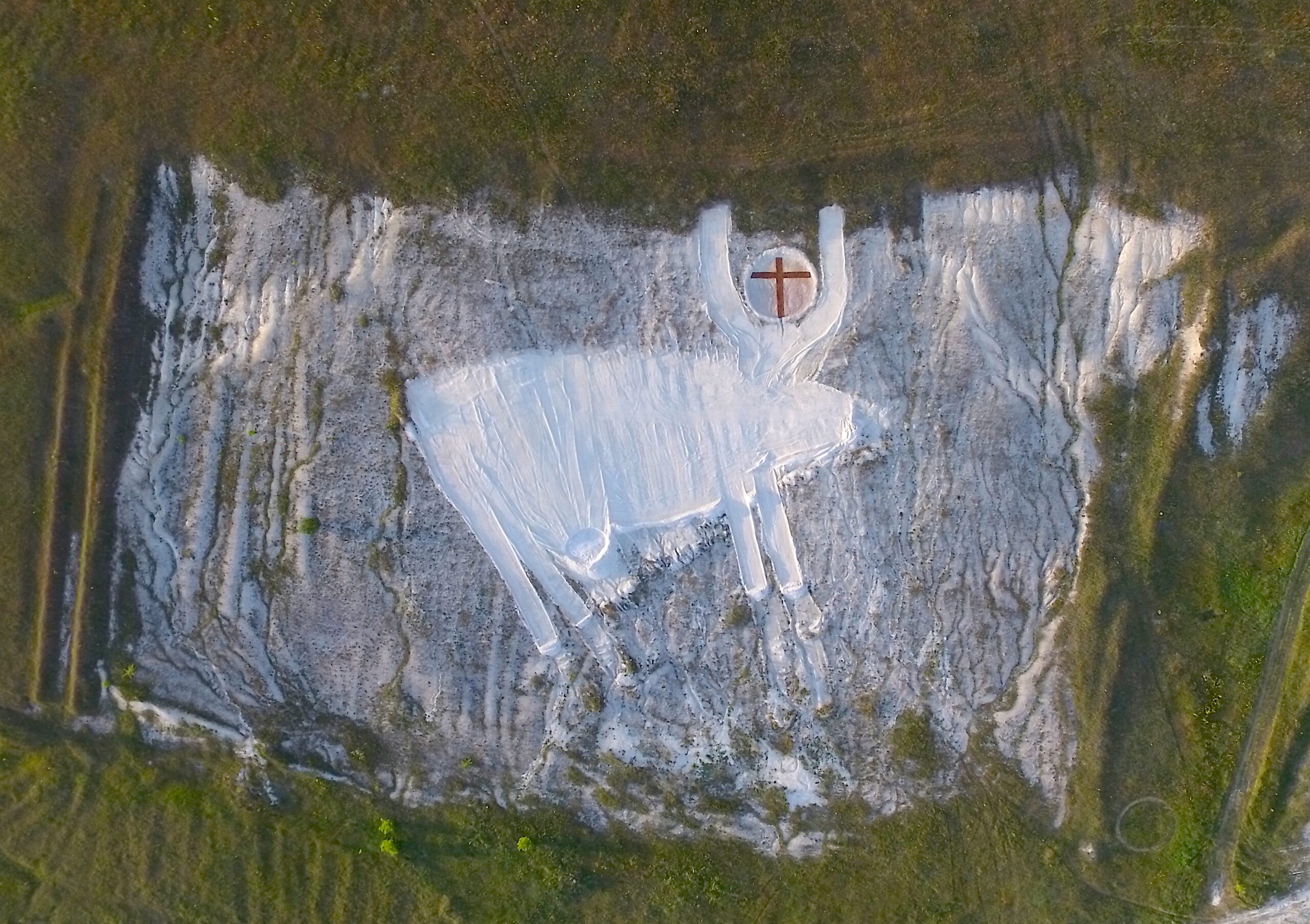 Телець