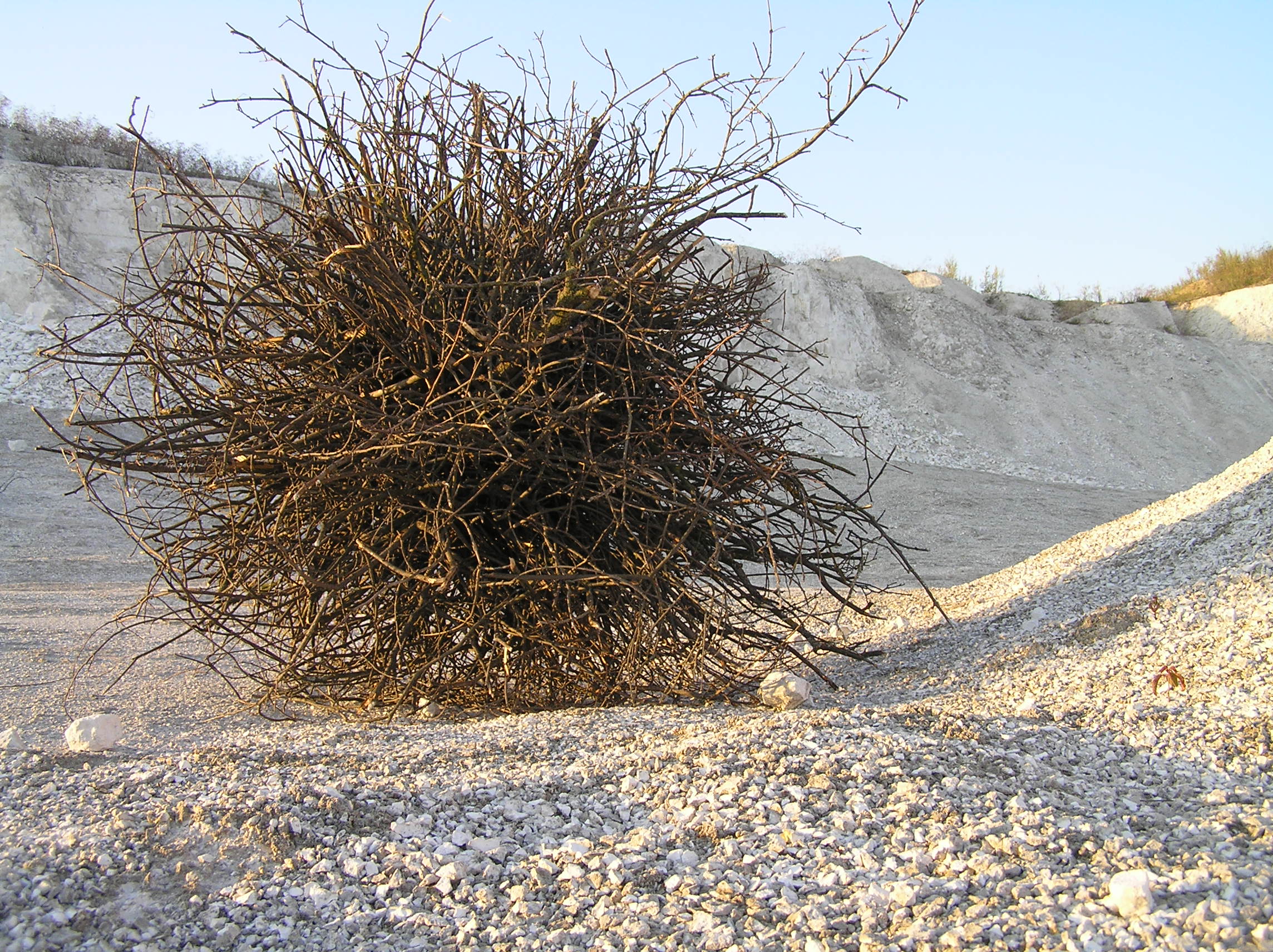Наталя Кохан, Перекоти поле, 2009